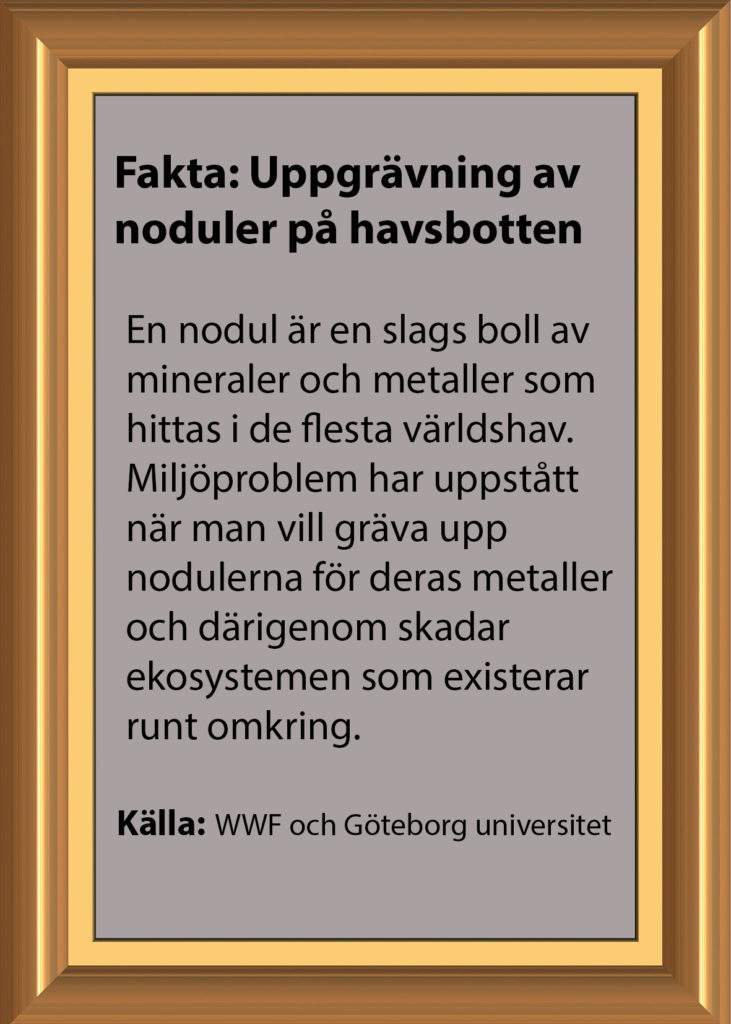 Faktaruta: Uppgrävning av noduler på havsbotten.  
En nodul är en slags boll av mineraler och metaller som hittas i de flesta världshav. Miljöproblem har uppkommit när man vill gräva upp nodulerna för deras metaller och därigenom skadar ekosystemen som existerar runt omkring. 
Källa är WWF och Göteborg Universitet